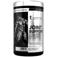 Kevin Levrone Joint Support 495 gram